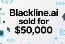 知名域名投资者James Booth通过X平台宣布一笔重要交易：其持有的.Ai域名Blackline.ai通过Afternic平台以50,000美元（约合人名币35万元）成交-ZQBlog赚钱博客
