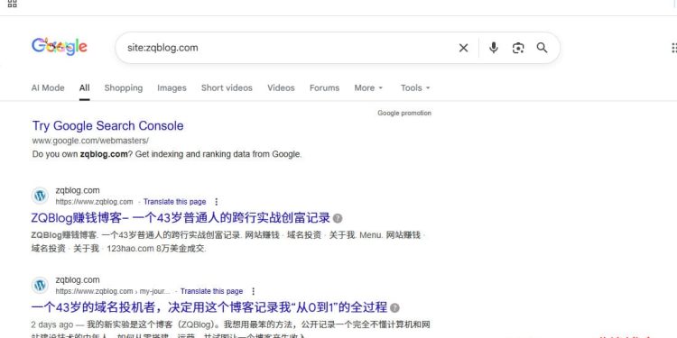 【ZQBLOG网站实验日志#0003】上线第3天：谷歌收录10个链接，但独立访客只有4